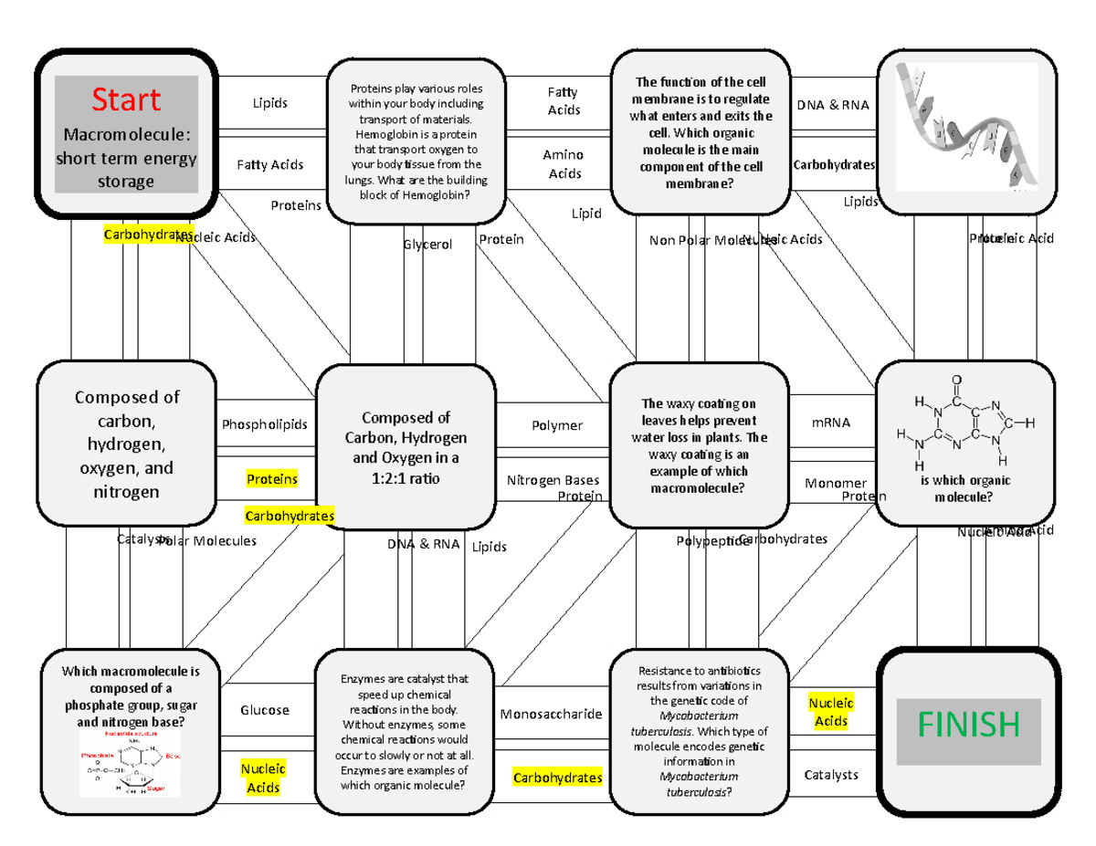 2Macro Maze Review 9 22 23 Polymers Proteins Play Various Roles 
