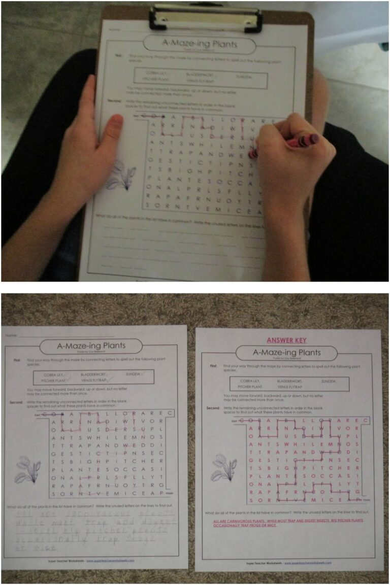 A Learning Journey Homeschool Review Crew Super Teacher Worksheets