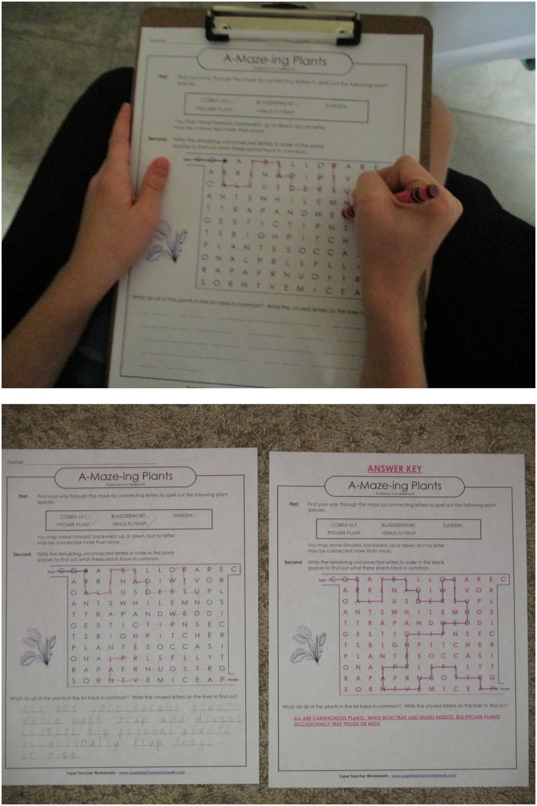 A Learning Journey Homeschool Review Crew Super Teacher Worksheets