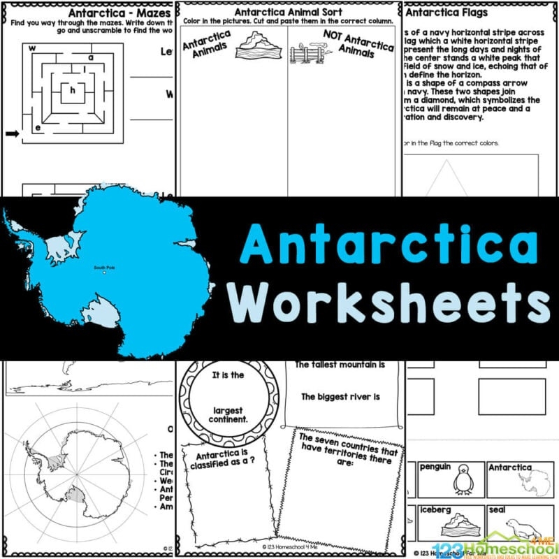Antarctica For Kids Worksheets For Elementary Age Students