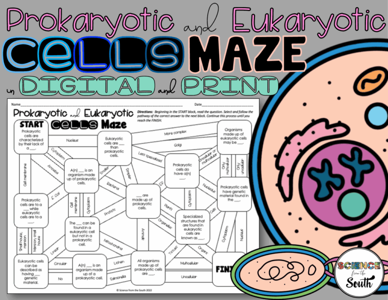 Biology Maze Freshmen Class High School Final Essays Biology
