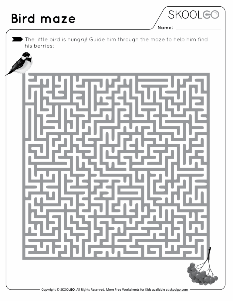 Bird Maze SKOOLGO