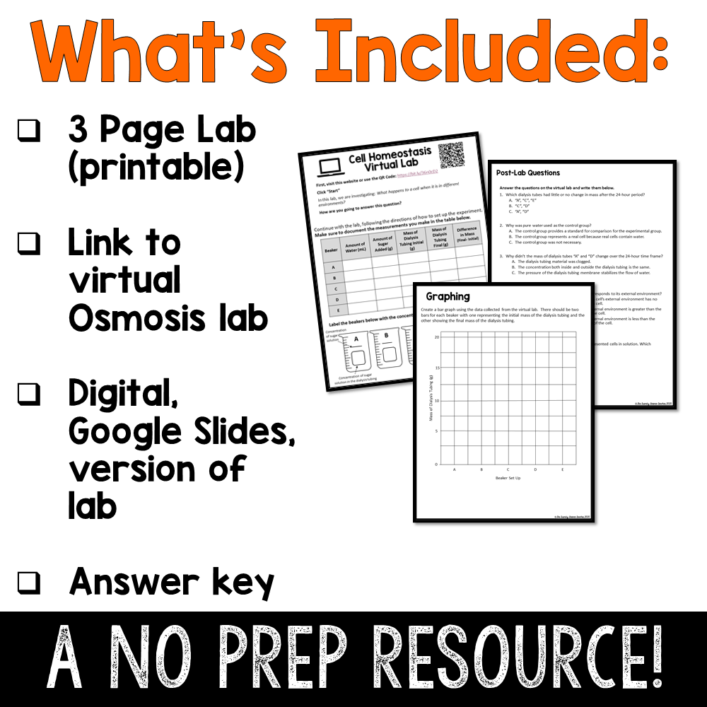 Cellular Transport Maze Worksheet