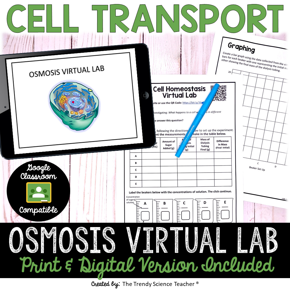Cell Homeostasis Osmosis Virtual Lab The Trendy Science Teacher
