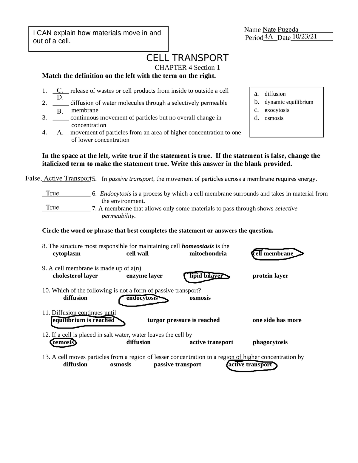 CELL Transport WORK Sheet Name Period Date CELL 
