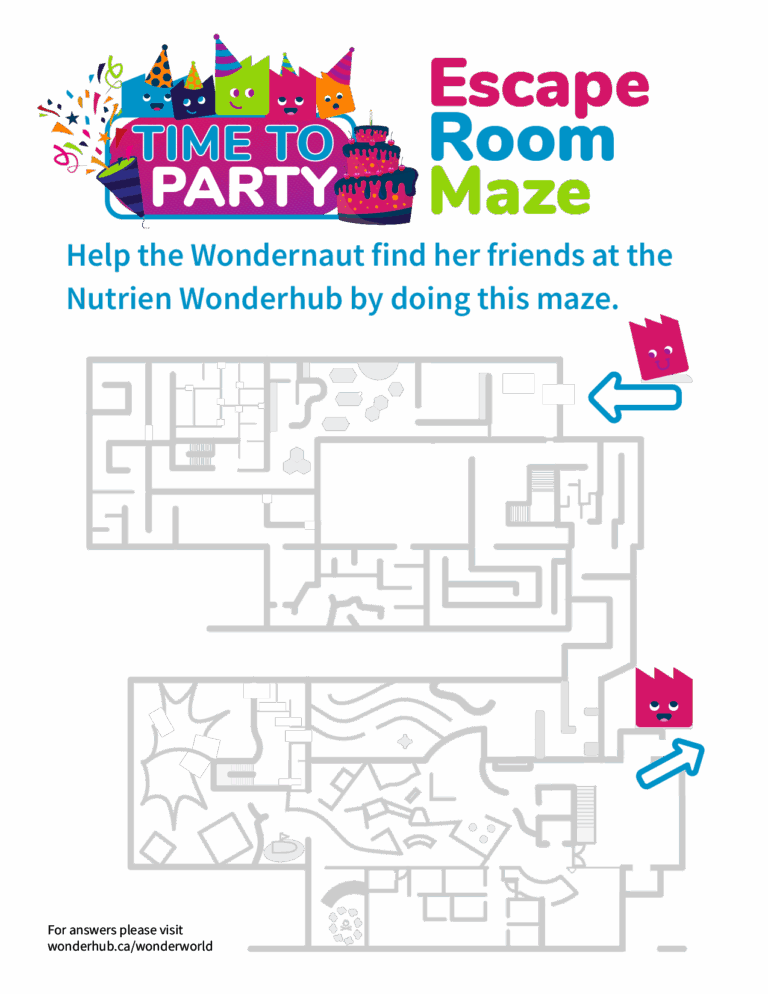 Escape Room Maze Wonderhub