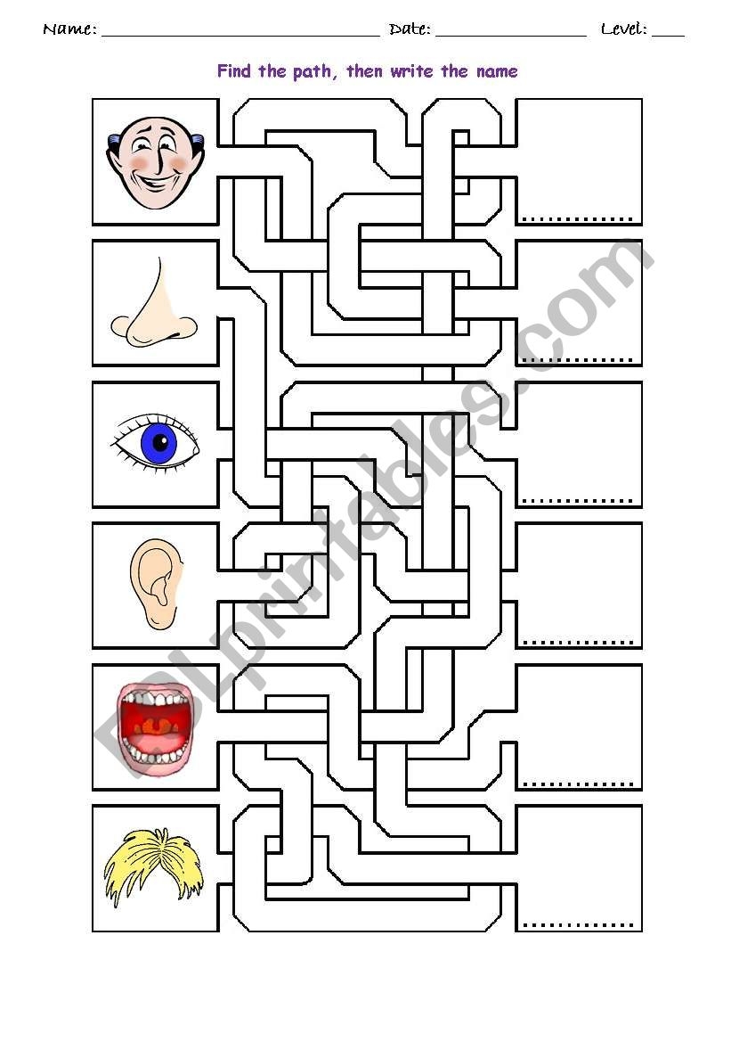 FACE MAZE ESL Worksheet By Isabelzr