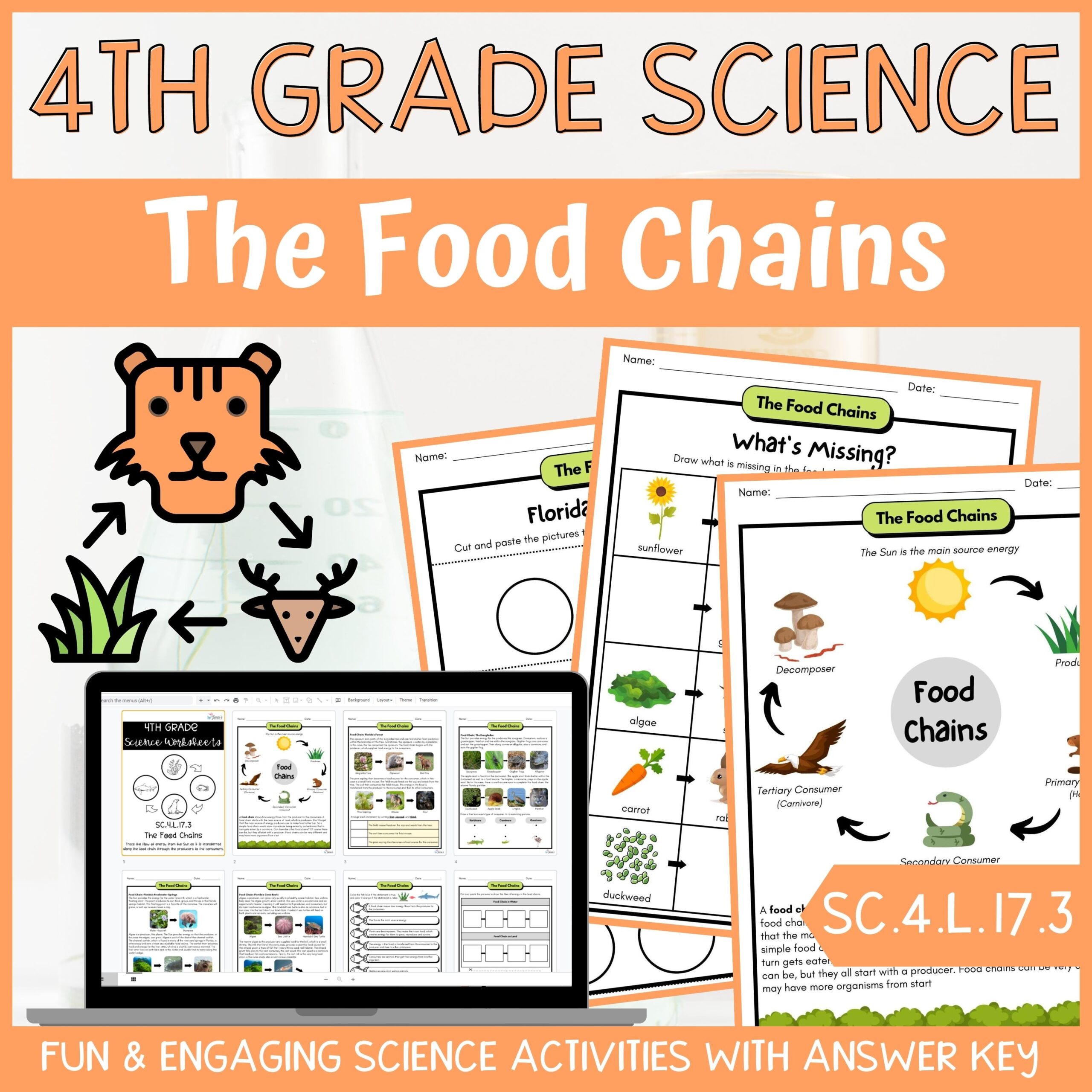 Food Chains Activity U0026 Answer Key 4th Grade Life Science Classful