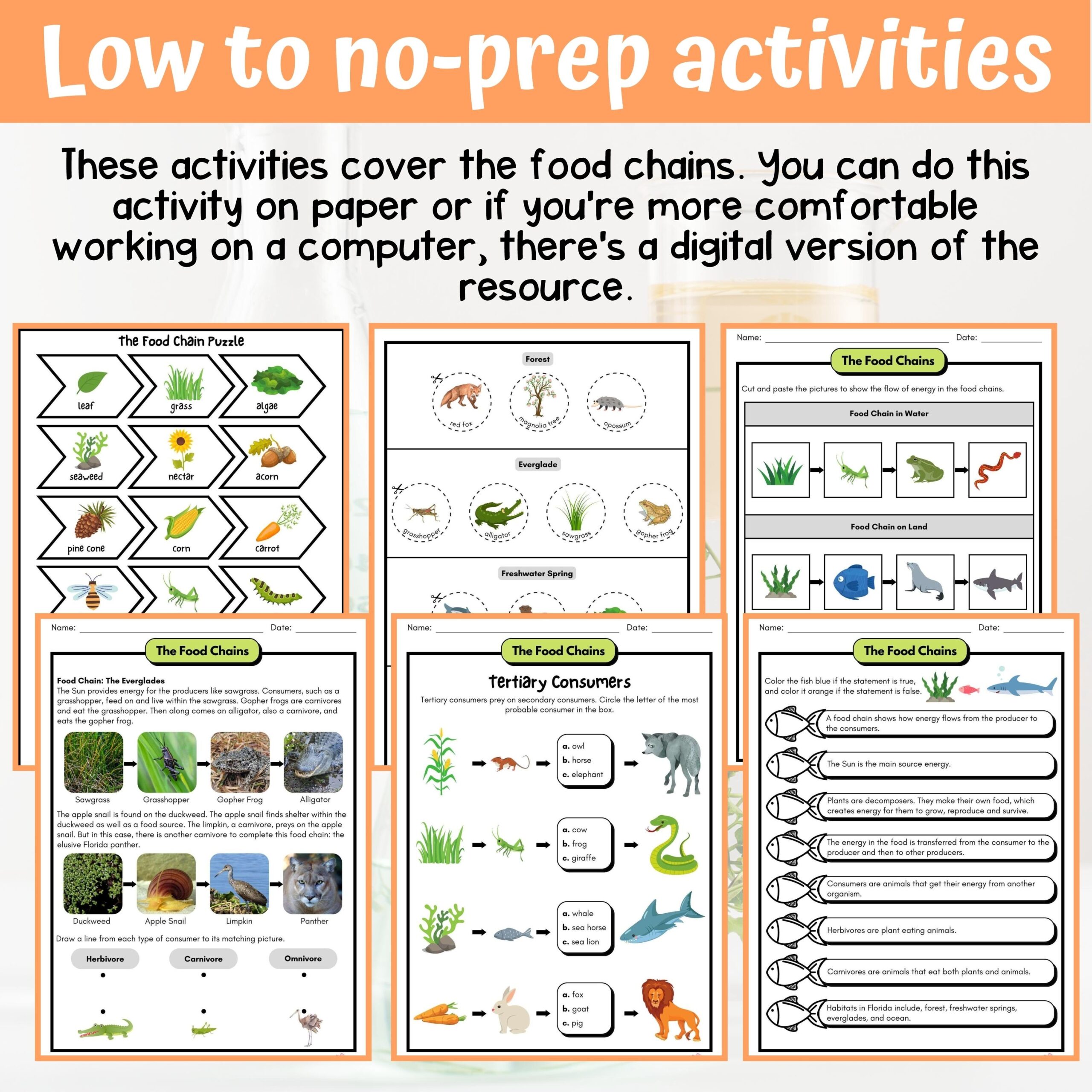 Food Chains Activity U0026 Answer Key 4th Grade Life Science Classful