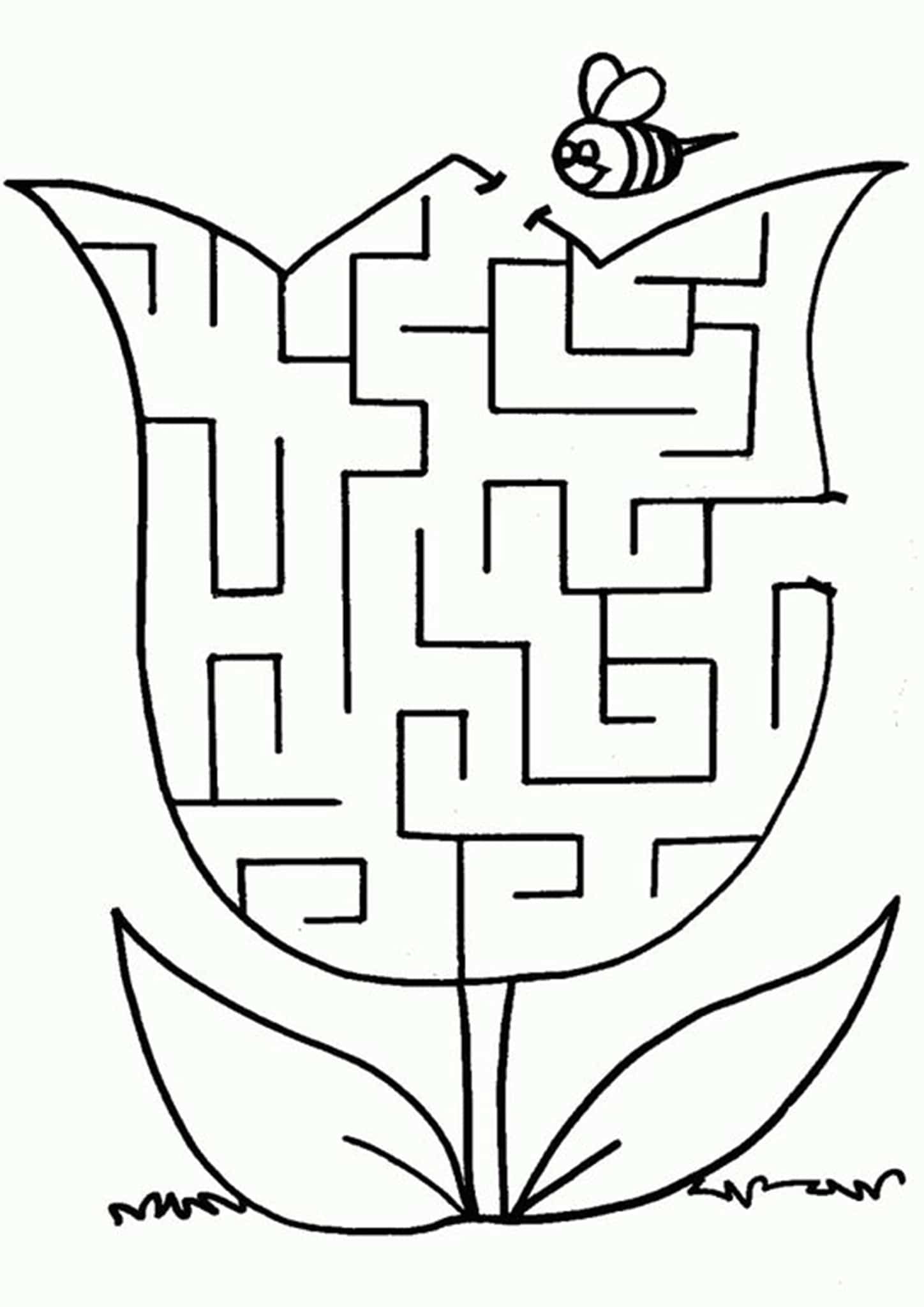 Free Printable Maze Worksheets Kindergarten