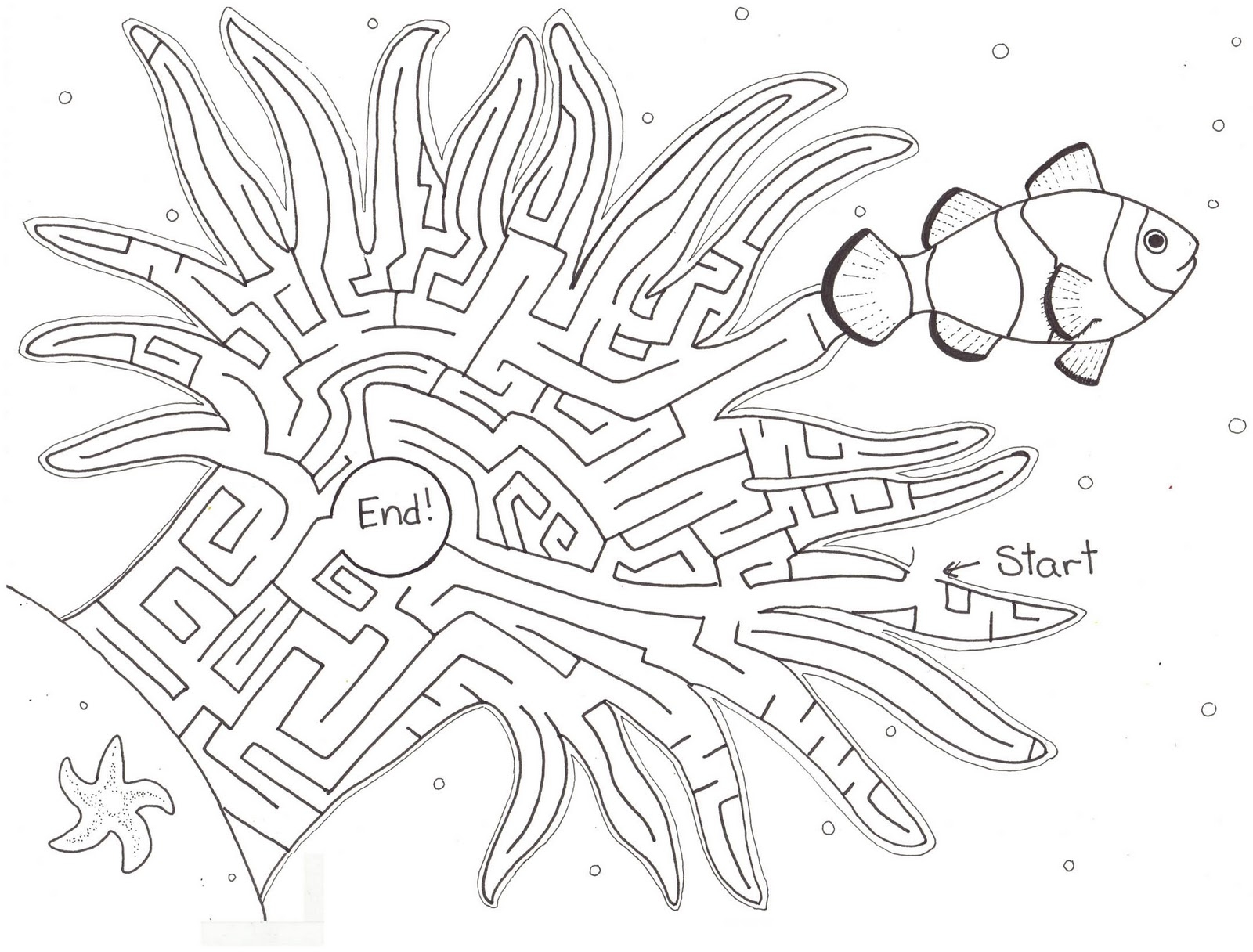 Hedgie s Desk Anemone Maze