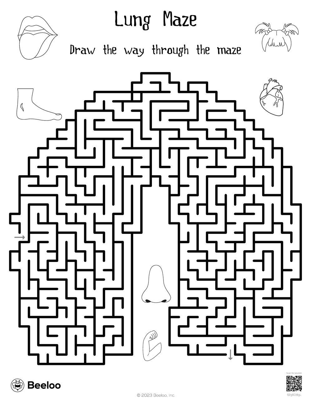 Vital Organs Maze Worksheet