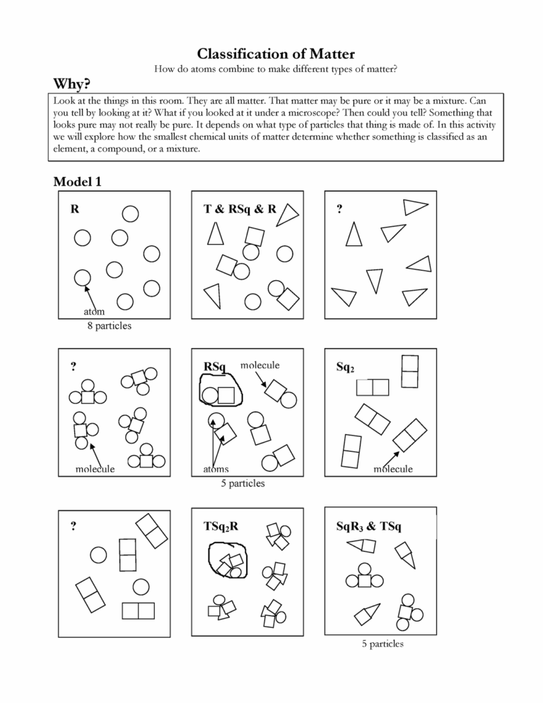 Kami Export Classification Of Matter Classification Of Matter Worksheets Library