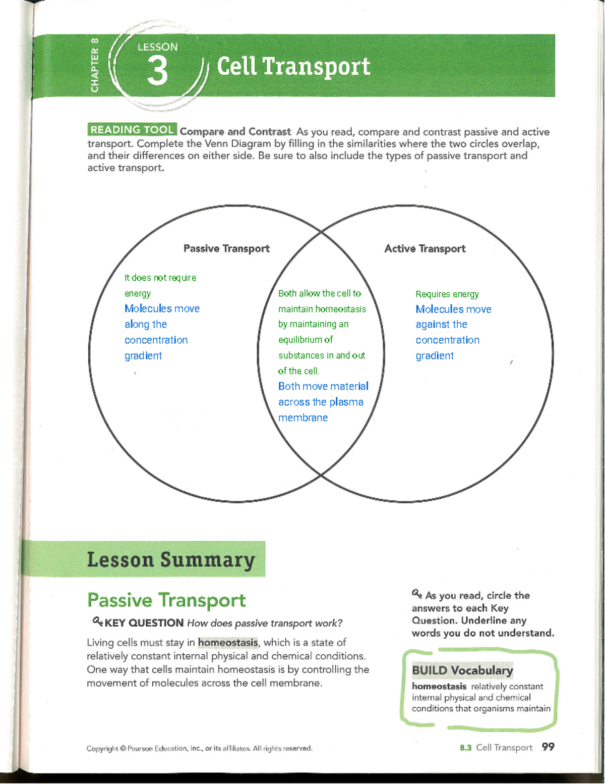 Kami Export Jayden Prince Chapter 8 LESSON 3 Cell Transport 0 0 Compare And Contrast As You Studocu