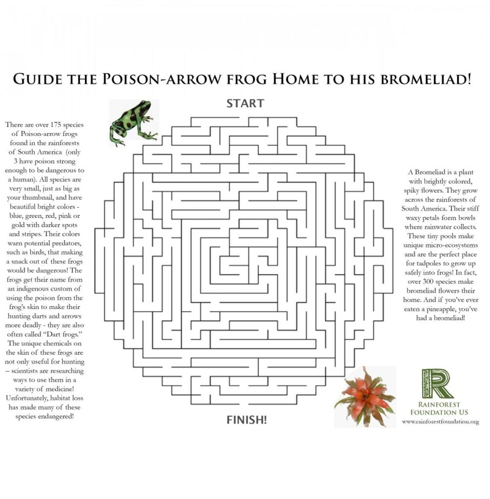 Kids Corner Learn About Rainforests Rainforest Foundation US