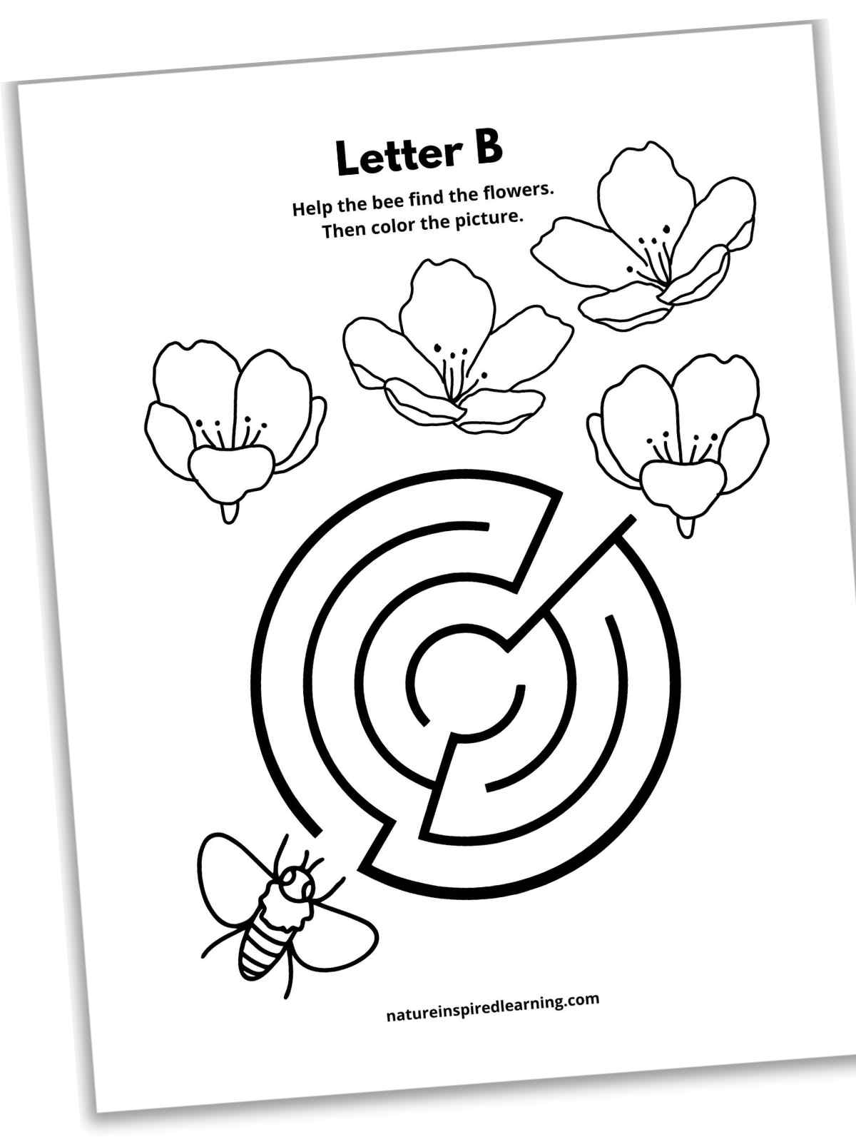 Letter B Worksheets Nature Inspired Learning