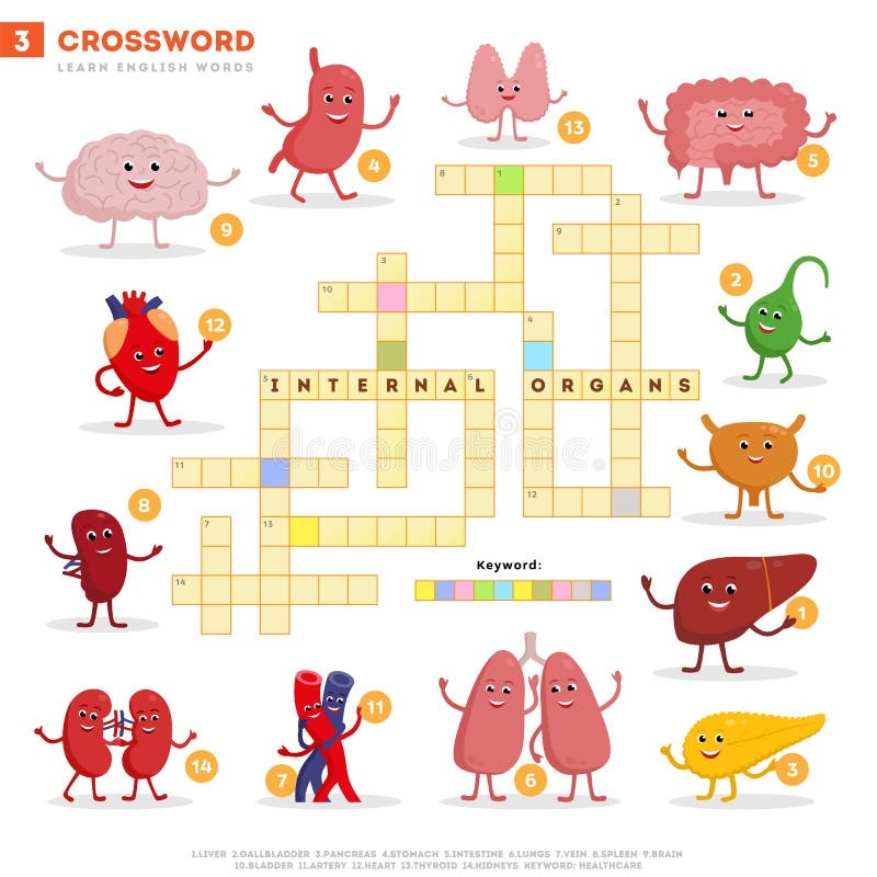 Liver Puzzle Stock Illustrations 103 Liver Puzzle Stock 