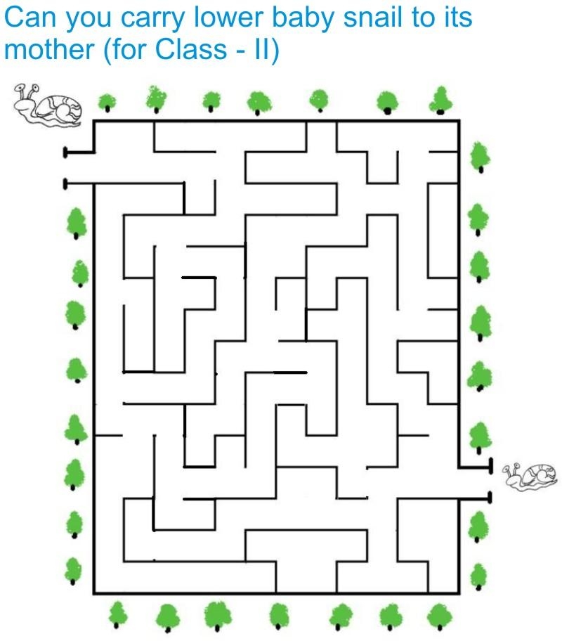 Maze For Class II Students