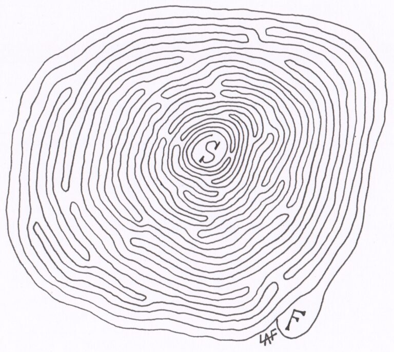 Maze Lessons From The Peace Corps