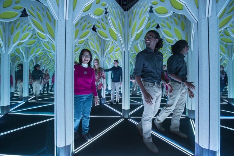 Numbers In Nature A Mirror Maze Griffin Museum Of Science And Industry