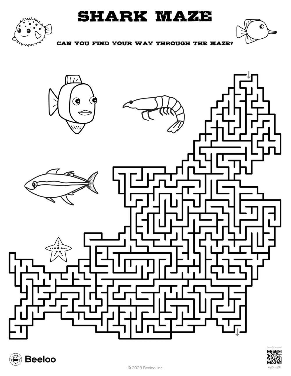 Main Idea Maze Worksheet