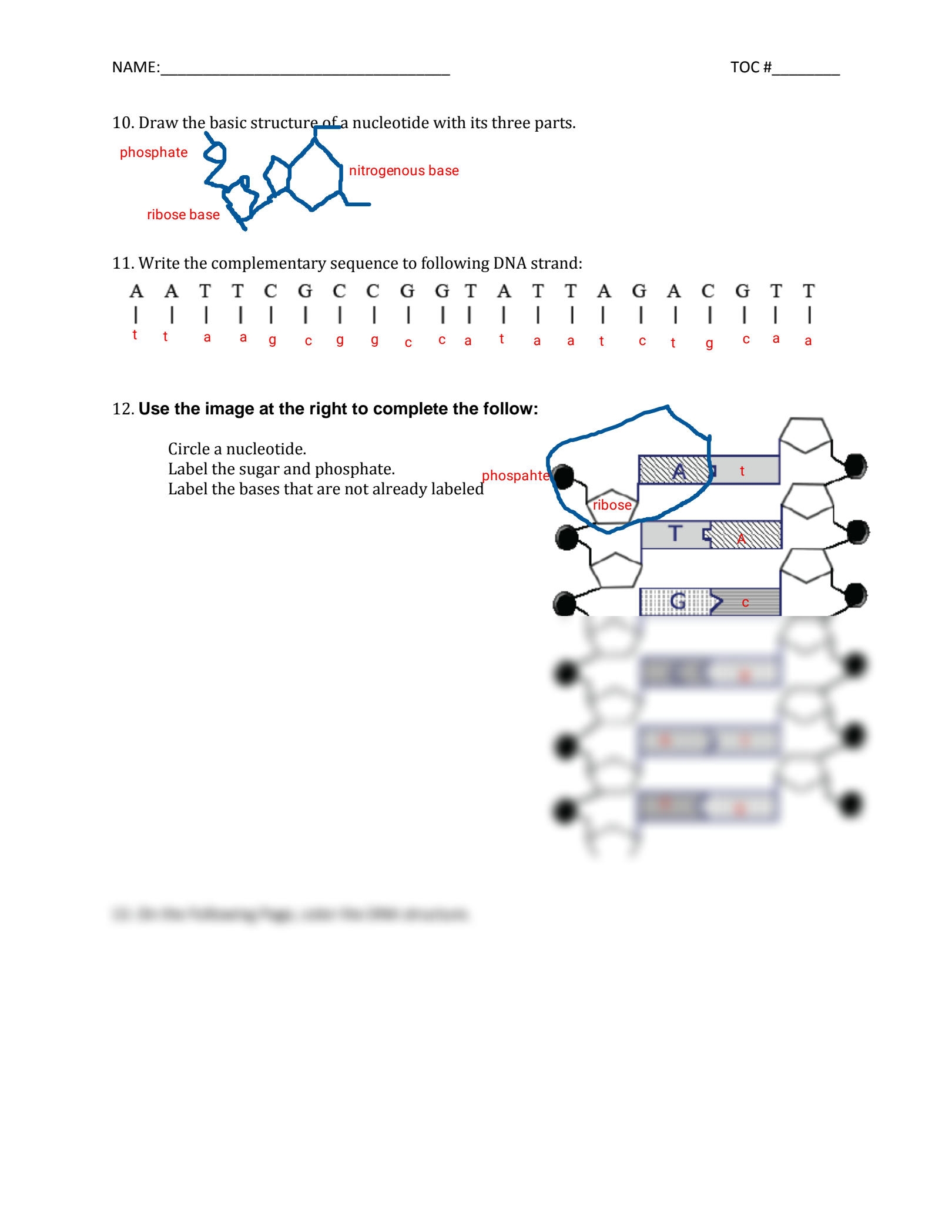 SOLUTION Kami Export Charles Powell Dna Structure Worksheet Worksheets Library