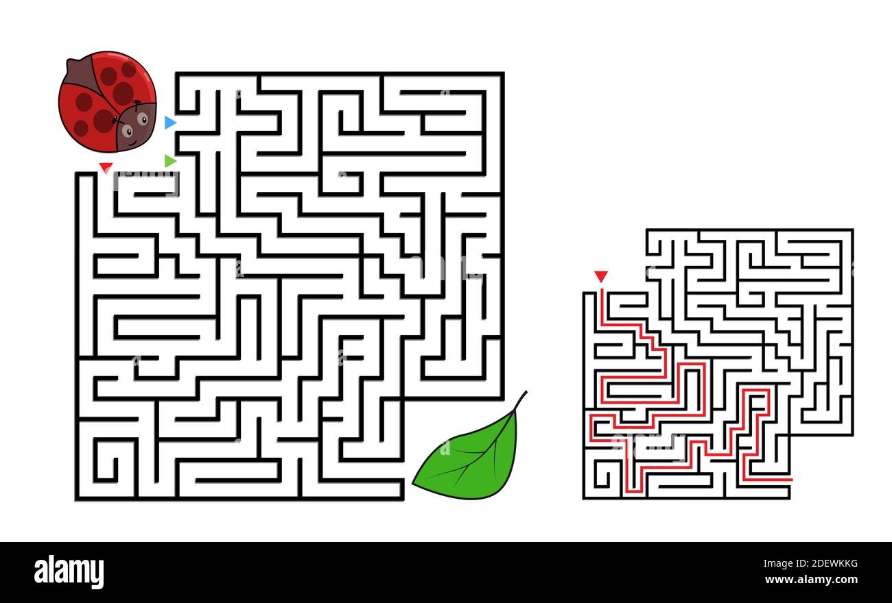 Square Maze Labyrinth With Cartoon Characters Cute Ladybug Interesting Game For Children With Solution Worksheet For Education Stock Vector Image U0026 Art Alamy
