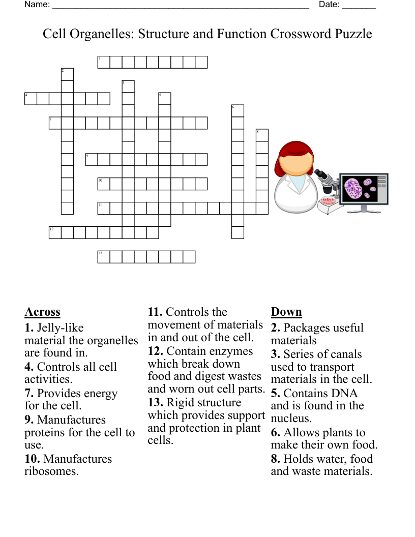 The Cell Organelles Crossword WordMint