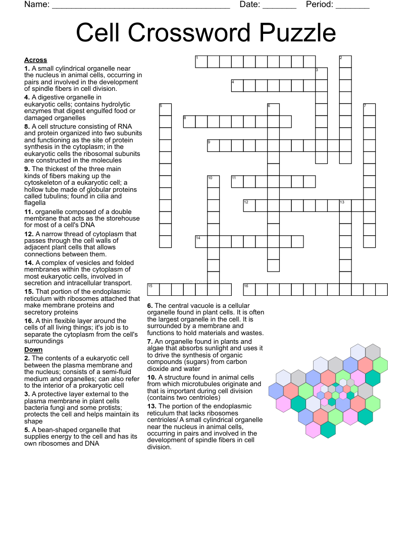 Cell Organelles And Structures Maze Worksheet Answers