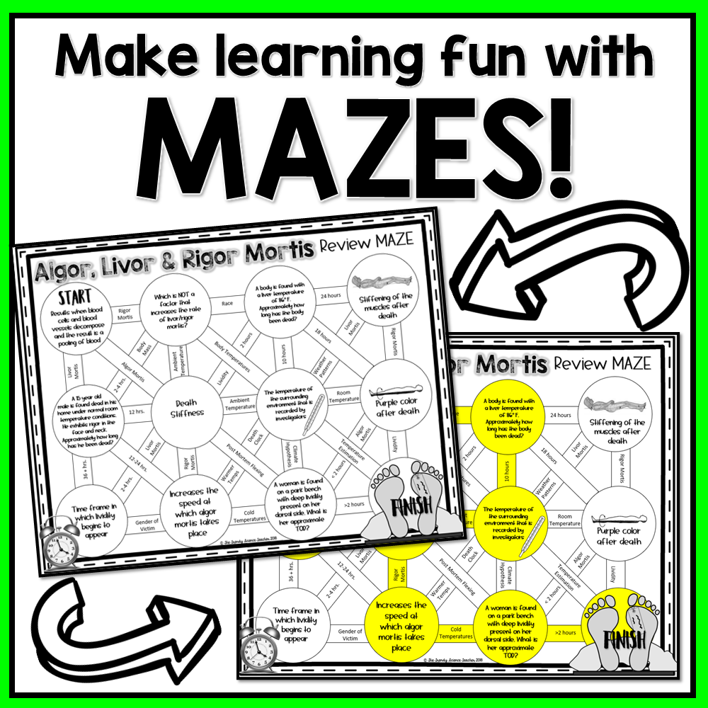 Time Of Death Review MAZE Forensics Worksheet The Trendy 