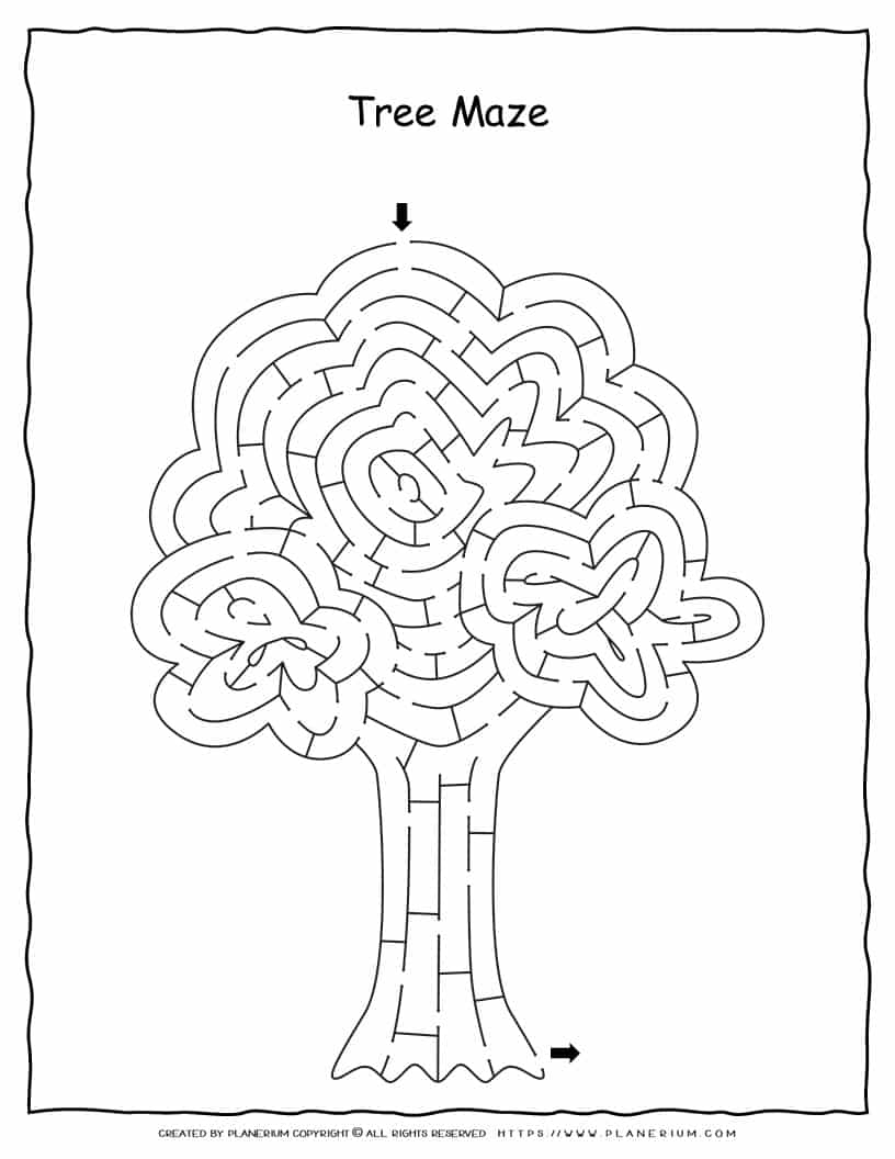 Plant Maze Worksheet