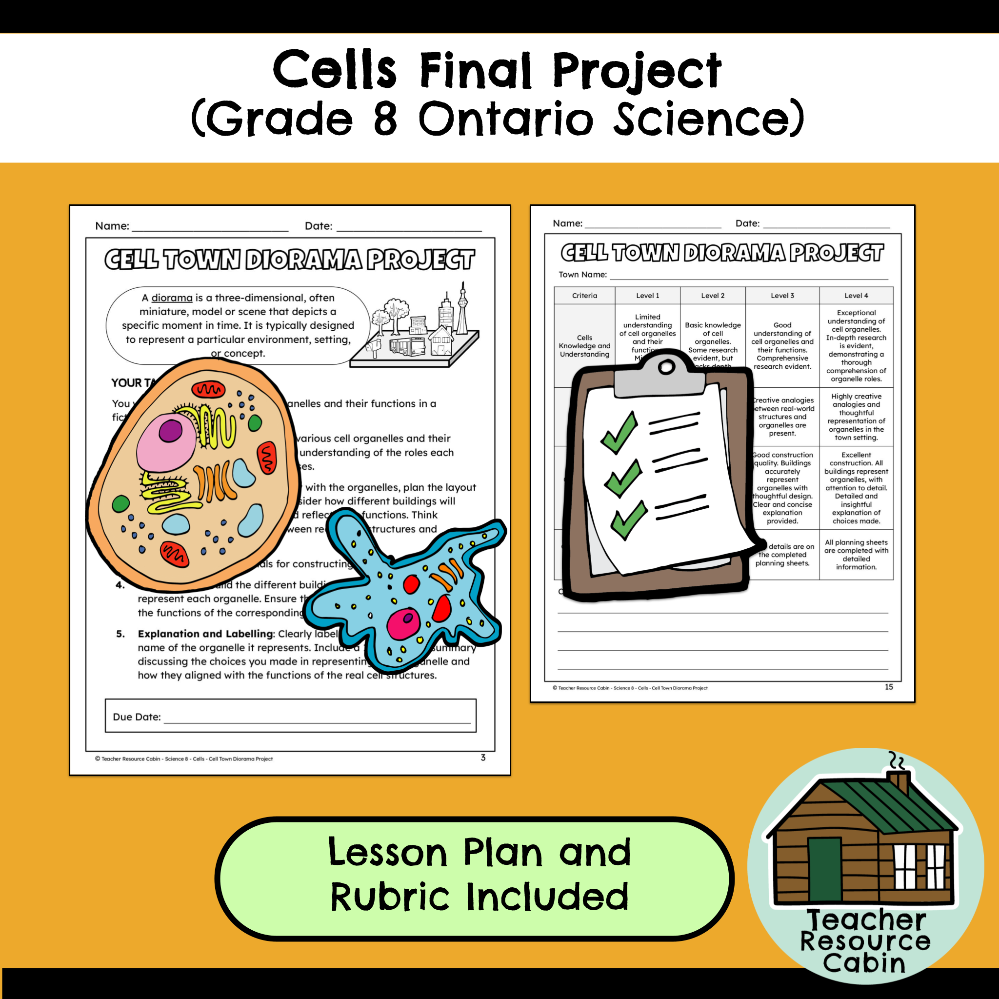 Types Of Fantastic Cells KS3